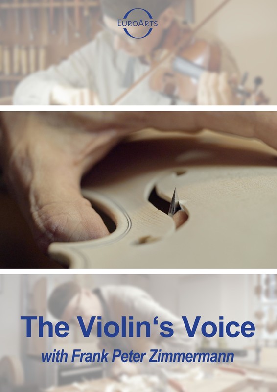 The Violin's Voice
